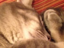 <font size=-1>2014-01-16</font><br> 19 42 35