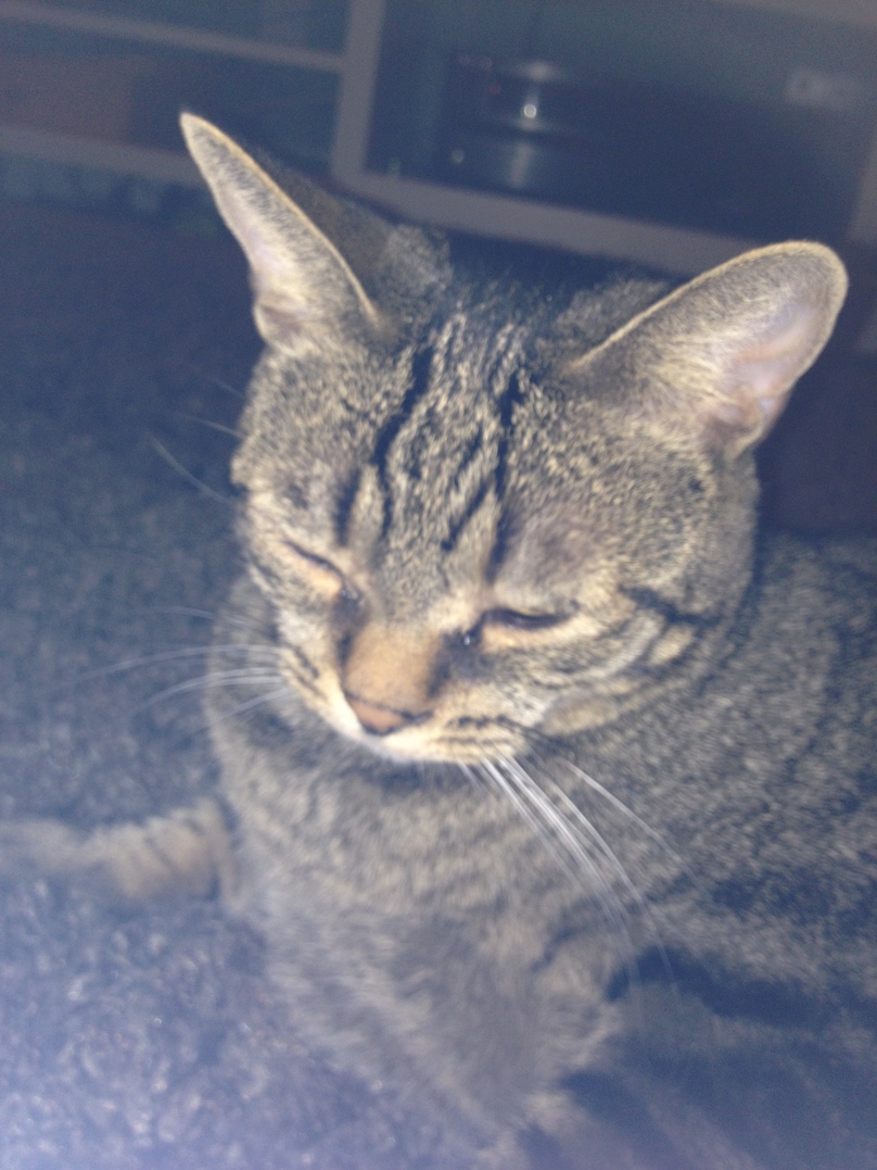 <font size=-1>2014-01-16</font><br> 19 47 54