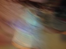 IMG 4227