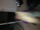 IMG 4237