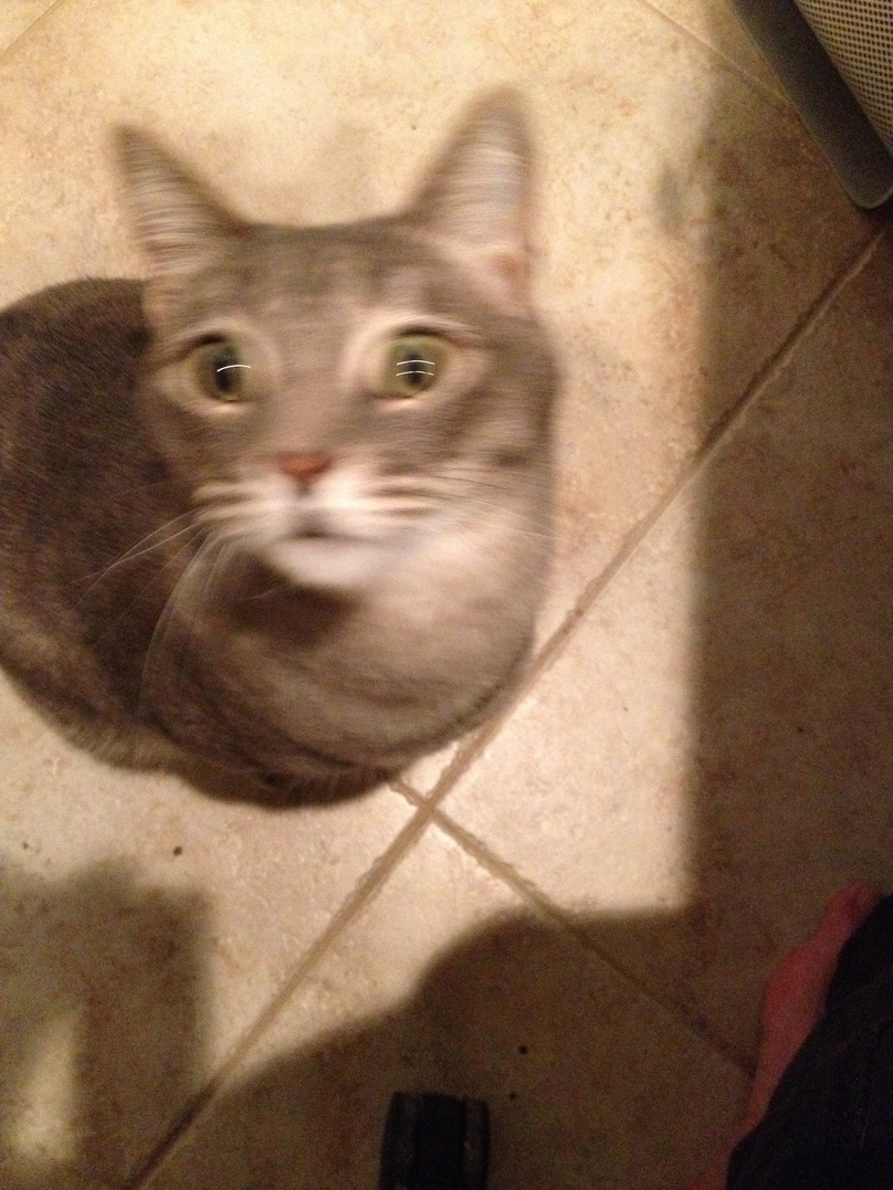 <font size=-1>2014-02-06</font><br> 21 31 32
