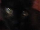 <font size=-1>2014-02-17</font><br> 17 24 45