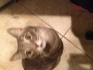 IMG 4260