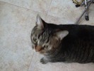 <font size=-1>2014-03-24</font><br> 07 21 13