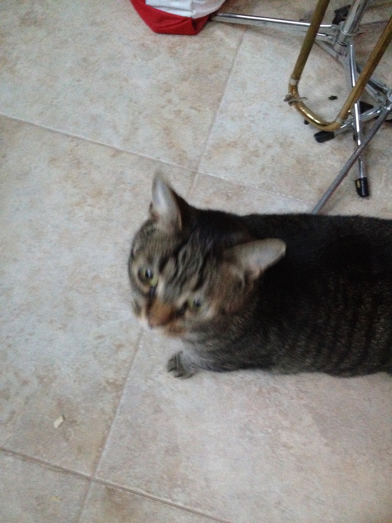 <font size=-1>2014-03-24</font><br> 07 21 13