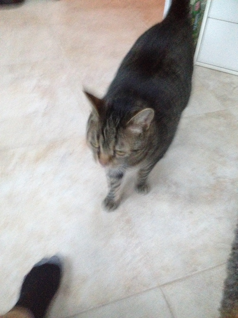 <font size=-1>2014-03-24</font><br> 07 21 25