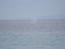 <font size=-1>2014-03-30</font><br> 16 26 12