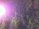 IMG 4337