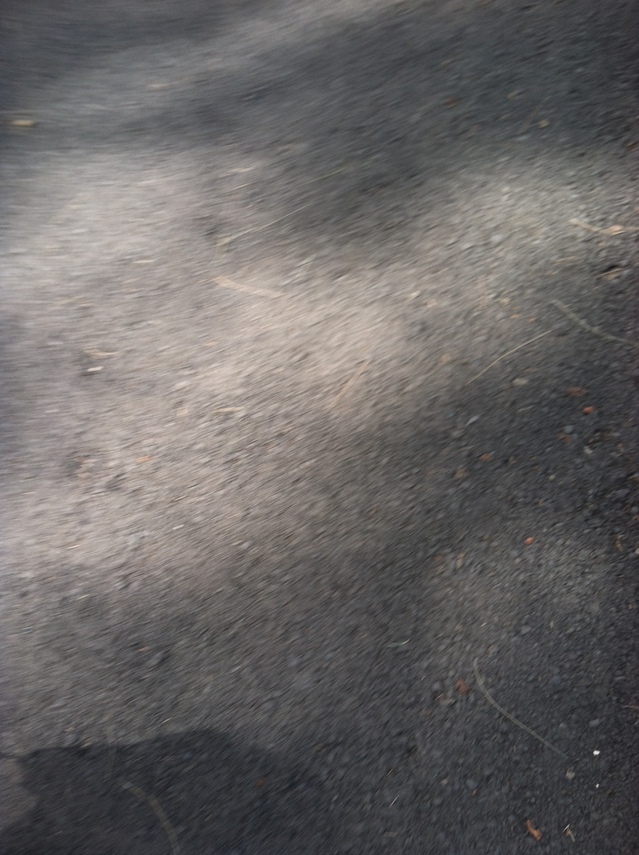 <font size=-1>2014-04-05</font><br> 14 03 35