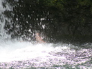 <font size=-1>2014-04-05</font><br> 16 08 31