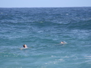 <font size=-1>2014-04-05</font><br> 18 10 21