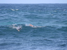 <font size=-1>2014-04-05</font><br> 18 10 44