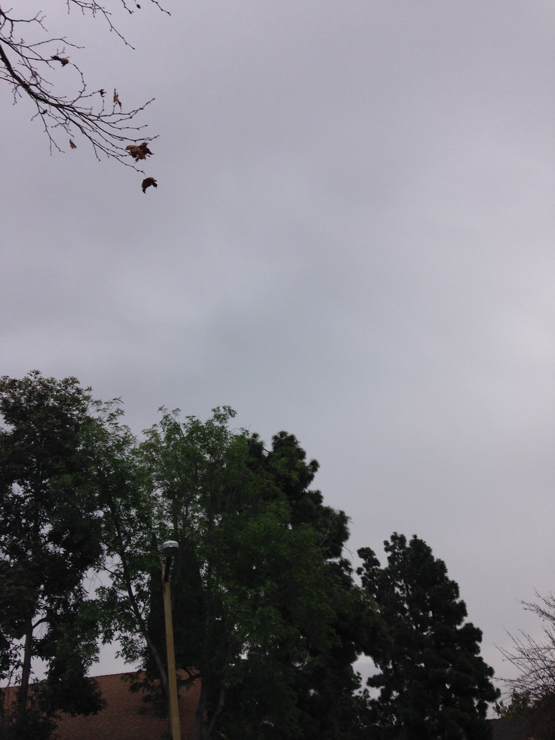 <font size=-1>2015-01-26</font><br> 14 27 47